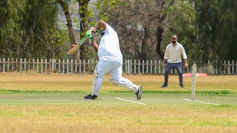 cricket betting tips